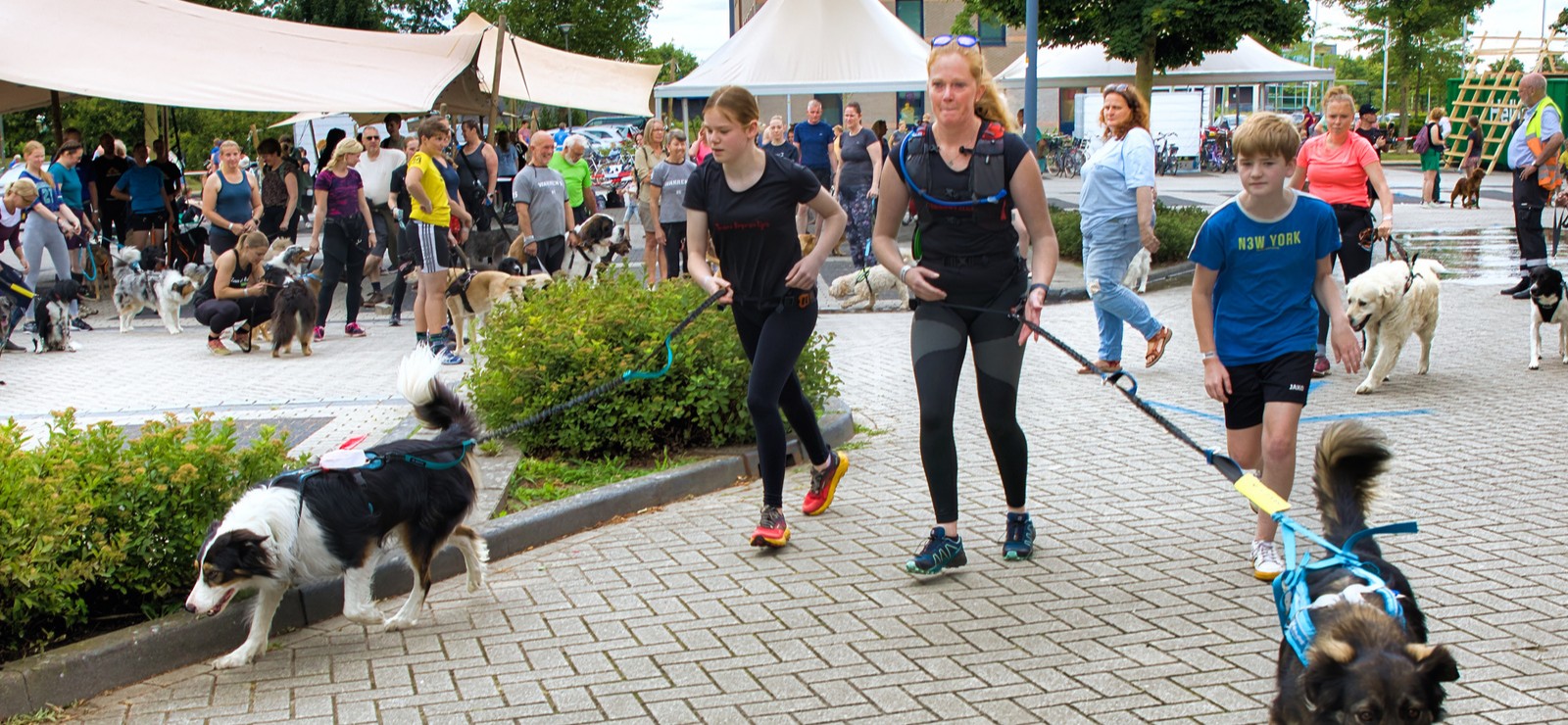 Dogsurvival keert terug bij de Monkey Fun Run