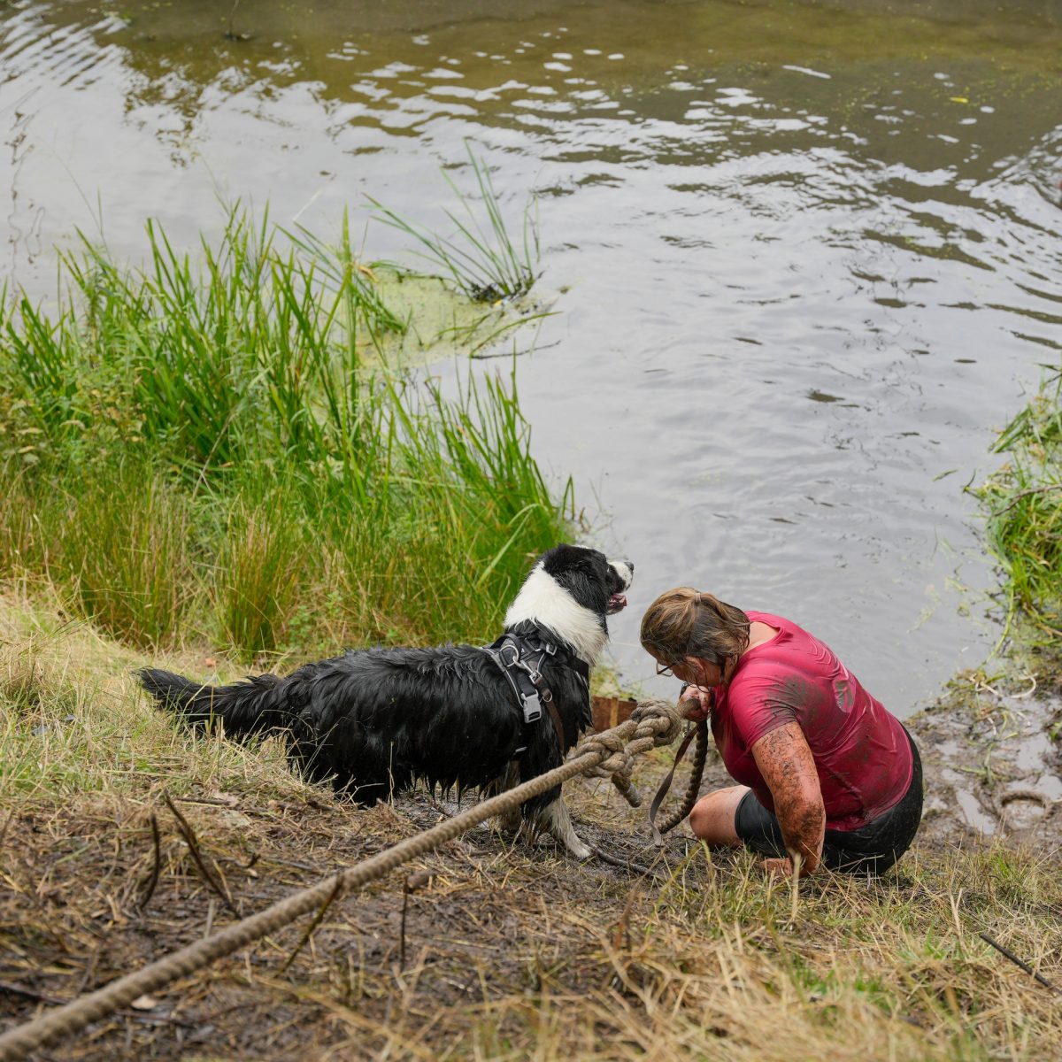 13-07-2025 • 4 km • 15:15 – 16:15 • Dogsurvival
