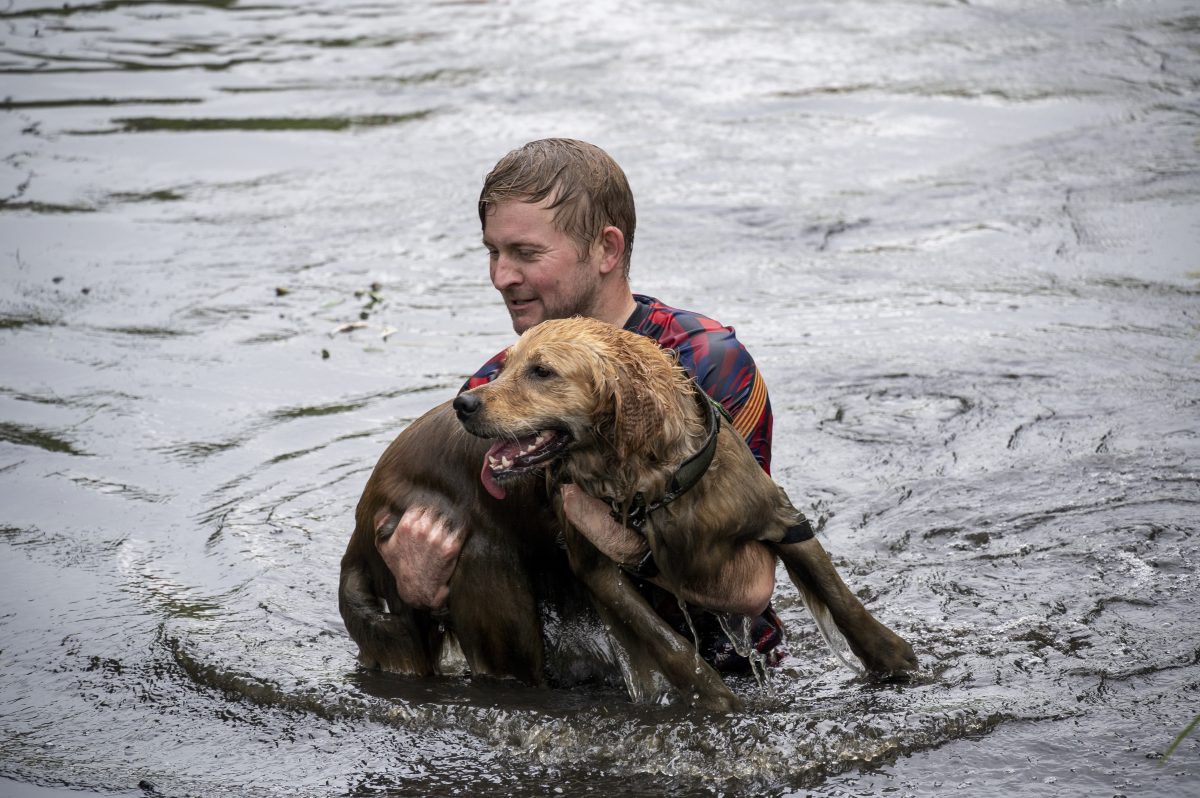 05-07-2026 • 4 km • 15:00 – 16:00 • Dogsurvival