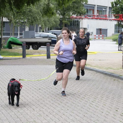 Foto-JB412